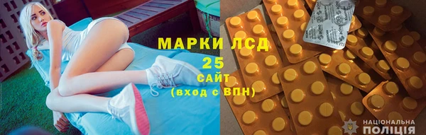 ПСИЛОЦИБИНОВЫЕ ГРИБЫ Елабуга
