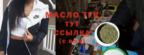 дурь Ельня