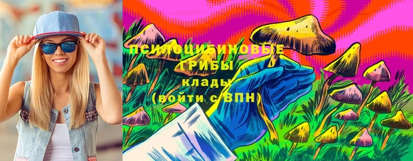 дурь Ельня