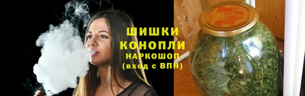 дурь Ельня