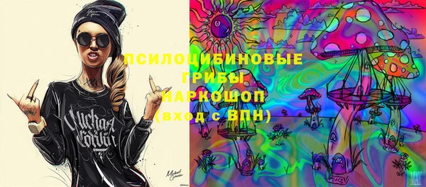 тгк Елизово