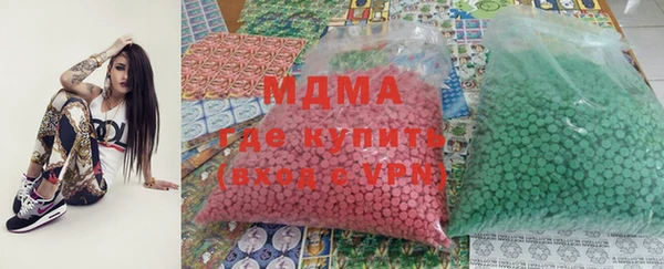 гидра Туринск