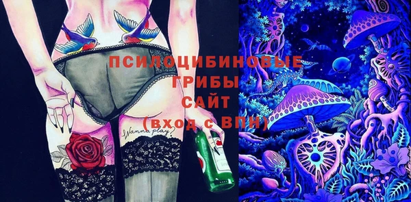дурь Ельня