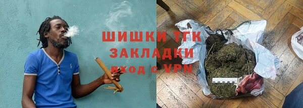 дурь Ельня