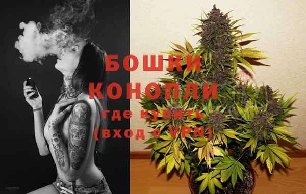 тгк Елизово