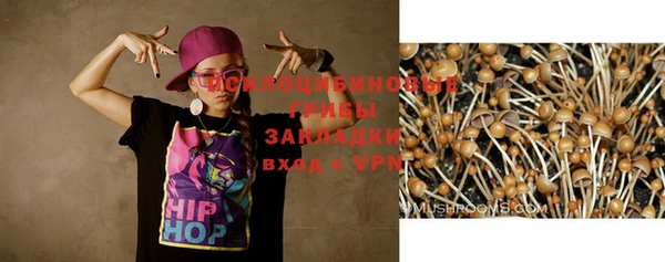 тгк Елизово