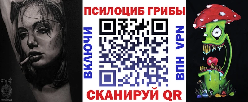 Псилоцибиновые грибы Psilocybe Гаврилов-Ям